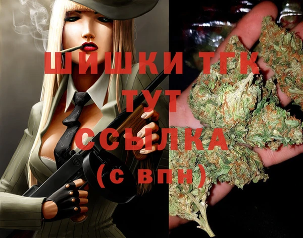 дмт Нея