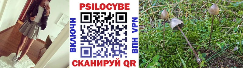 Галлюциногенные грибы мухоморы закладки Северо-Курильск